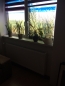 Preview: Sichtschutz Fensterfolie Sonnenschutz Milchglas Motivfolie Dekoration Motivwahl
